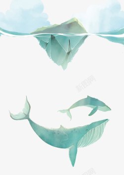 彩绘冰山鲨鱼素材
