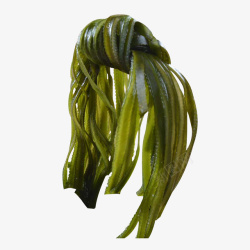 关东煮食材绿色打结的海带丝高清图片