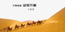 艰难沙漠骆驼banner高清图片