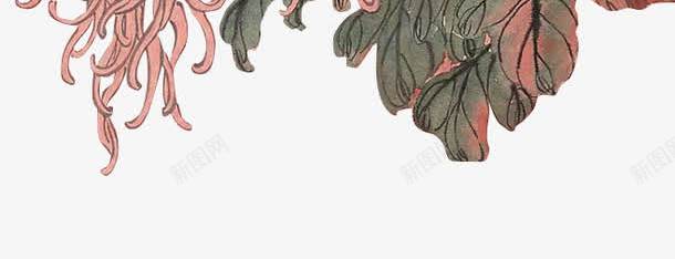 红色菊花工笔画装饰图案png免抠素材_新图网 https://ixintu.com 免抠PNG 工笔画 红色 菊花 装饰图案