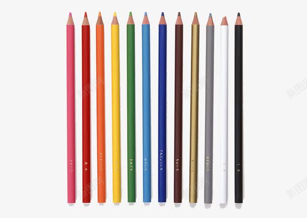 一排铅笔png免抠素材_新图网 https://ixintu.com 兴趣班 办公用品 学习用品 彩色铅笔 文具 校园 画画 画笔 笔 纸 绘画 美术培训