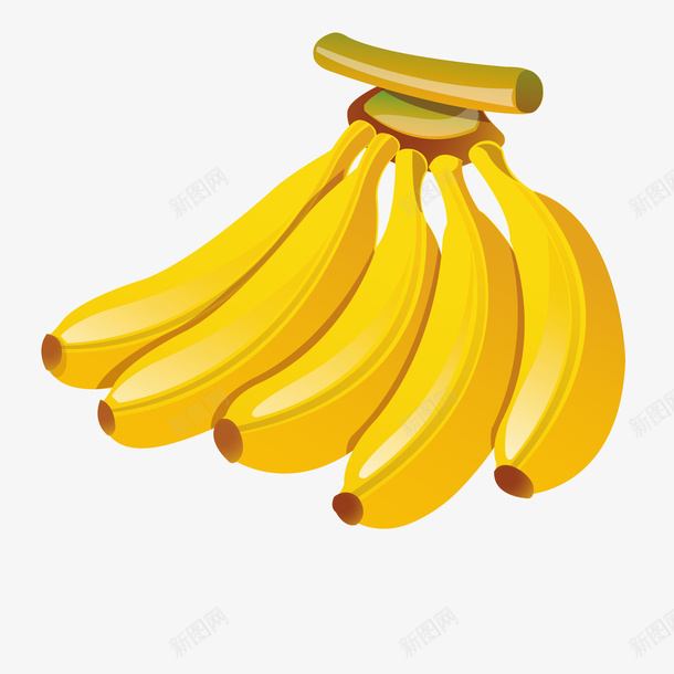 美味香蕉矢量图ai免抠素材_新图网 https://ixintu.com 大香蕉大 水果 矢量图 美味 香蕉
