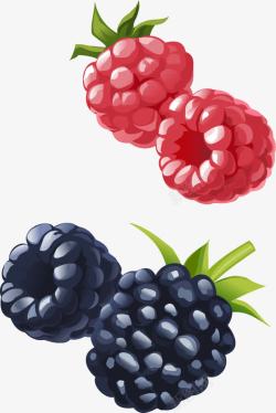蓝莓果子手绘树莓和蓝莓高清图片