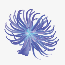 蓝色海葵矢量图素材