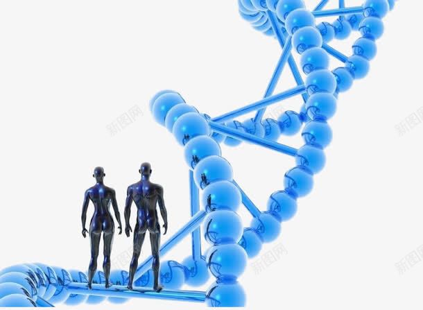 蓝色基因检测DNA双螺旋png免抠素材_新图网 https://ixintu.com DNA 双螺旋 基因检测 小人 蓝色