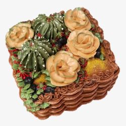 仙人掌蛋糕盆栽造型蛋糕高清图片