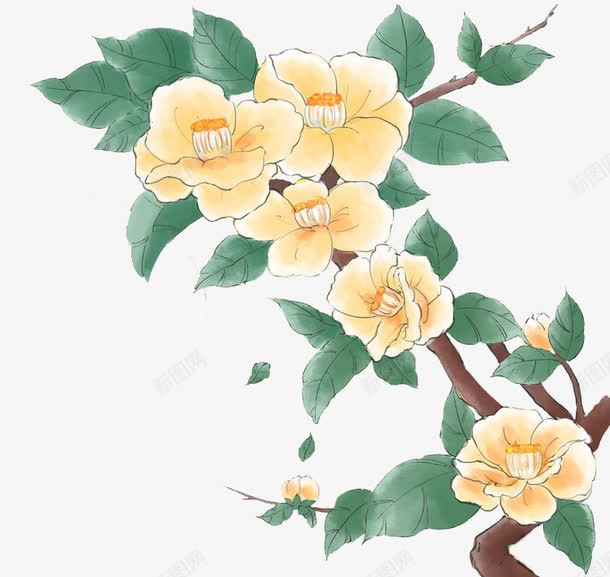 手绘山茶花png免抠素材_新图网 https://ixintu.com 山茶 山茶树 植物 装饰