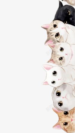 可爱的黄兔兔一排猫咪高清图片