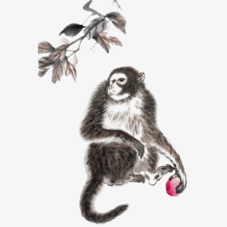 传统中国风水墨猴子拿水果素材