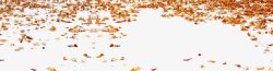 落在地面的枫叶秋天的落叶高清图片