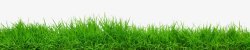 绿色植物小清新草堆春天素材