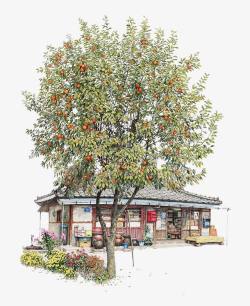 便利店招牌手绘橘子树下的杂货店高清图片