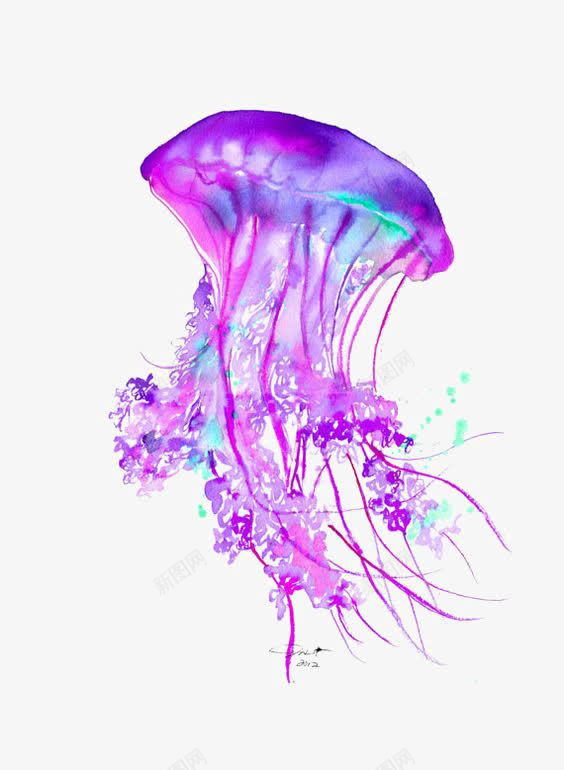 水母png免抠素材_新图网 https://ixintu.com 创意水母 彩色水墨 彩色水母 手绘 海洋 生态 紫色水墨 红色 自然