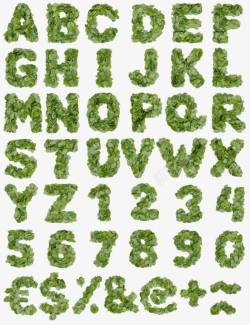 树叶字母数字符号素材