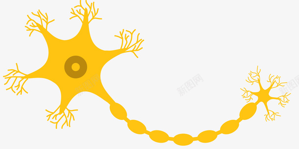 黄色长条形神经细胞矢量图ai免抠素材_新图网 https://ixintu.com 人体组成 人体细胞 卡通风格 矢量图 矢量细胞 神经 神经元 细胞