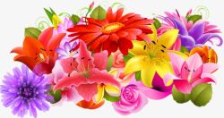 彩色花簇百花盛开高清图片