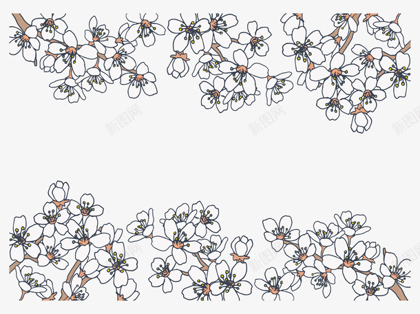 卡通手绘白色樱花矢量图ai免抠素材_新图网 https://ixintu.com 春天 春天樱花 樱花 樱花节 白色樱花 矢量png 矢量图