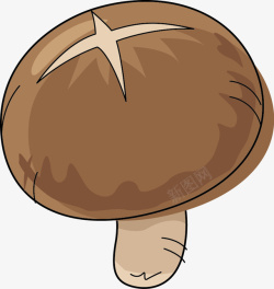可爱香菇香菇简图高清图片