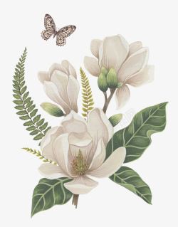 白色花朵蝴蝶手绘素材
