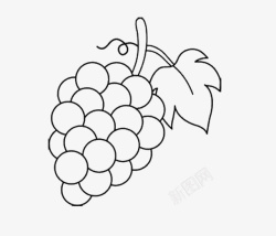可爱的葡萄无色可爱葡萄简笔画图标高清图片