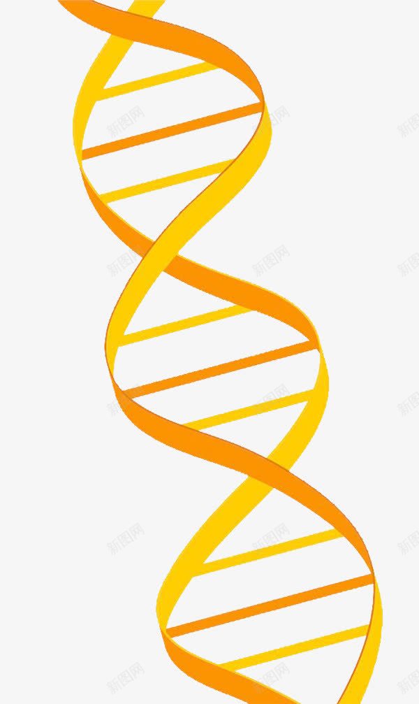 简约基因链PPT元素png免抠素材_新图网 https://ixintu.com DNA双螺旋 基因 实验 科研 简约 遗传 黄色