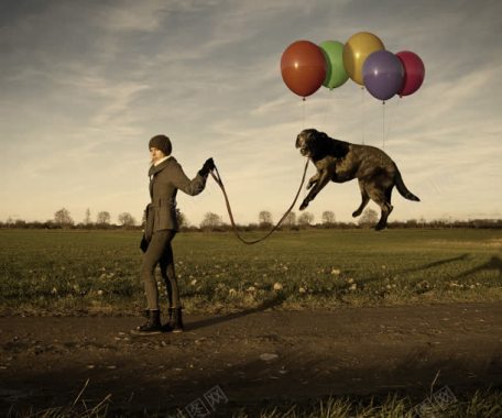 懒狗黑色宠物气球人物遛狗背景
