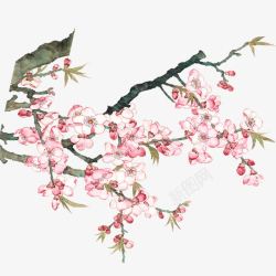 桃花旅游春季踏青旅行桃花花朵花卉图案水高清图片