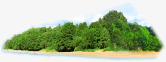 绿色植物沙滩装饰png免抠素材_新图网 https://ixintu.com 沙滩 绿色植物 装饰