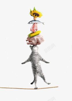 猫粮创意猫咪粮食高清图片
