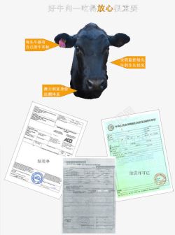 牛头检验报告素材
