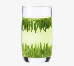 清馨绿茶海报杯子里的茶叶高清图片