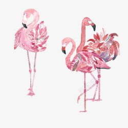 水彩鸟手绘三只粉色的火烈鸟高清图片