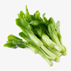 营养青菜一把新鲜绿色广东菜心健康饮食插高清图片