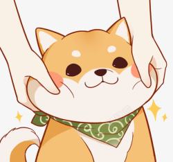 可爱的柴犬素材