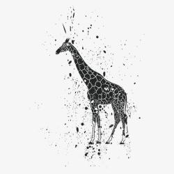 长颈鹿图案长颈鹿动物印花高清图片