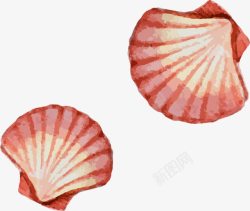 红色的贝壳贝壳高清图片
