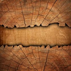 木板裂缝裂缝的木板背景高清图片