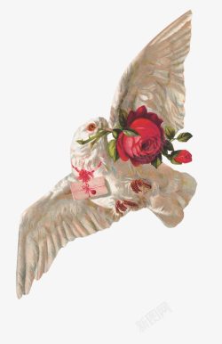 欧式天使铜像鸽子玫瑰花高清图片