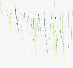 手绘垂柳造型植物藤条素材