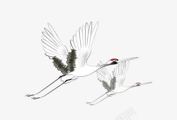 卡通鸟类飞翔的白鹭高清图片