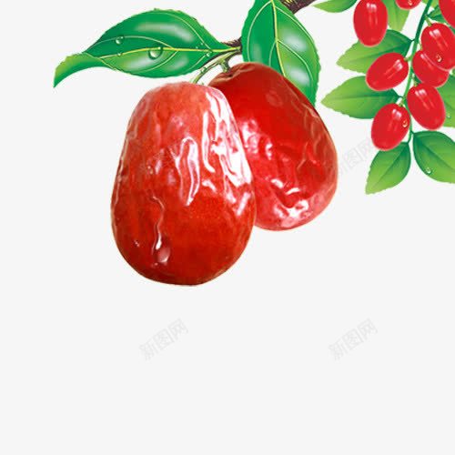 大红枣树png免抠素材_新图网 https://ixintu.com 大红枣 枣树 树 植物 水果树 红色 绿色