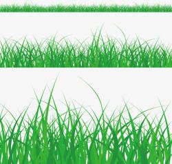 坚强的绿色的草坪高清图片