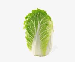美味蔬菜白菜高清图片