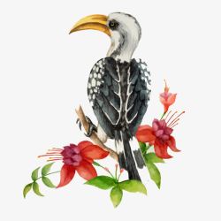 欧式写实无框画手绘水彩鸟类高清图片
