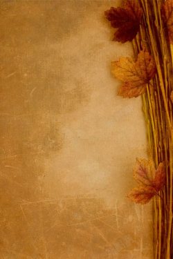 树叶花边边框金黄色秋天背景高清图片