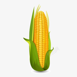 玉米店食材玉米棒元素矢量图高清图片