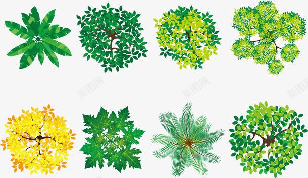 水彩树冠png免抠素材_新图网 https://ixintu.com 俯视 四季 园林 手绘 景观 树冠 树头 集合