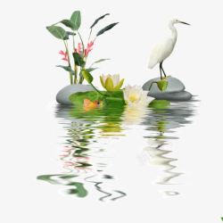 竹子花卉剪纸莲花荷花湖边倒影装饰图案高清图片