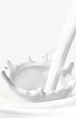 花宣传海报飞溅的牛奶高清图片