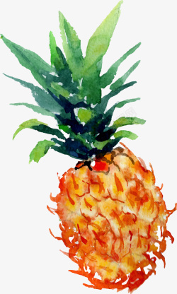 菠萝图案水彩手绘凤梨矢量图高清图片